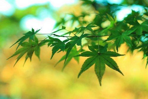 句句能触动人心的人生感悟短语