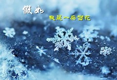 假如我是一朵雪花800字想象星空(中国)