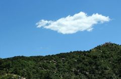 我是一片云星空(中国)
