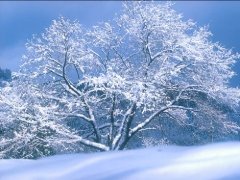 写景的星空(中国)200字-下雪啦