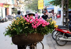 卖花的小女孩700字星空(中国)