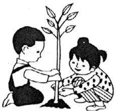 一年级看图写话种树